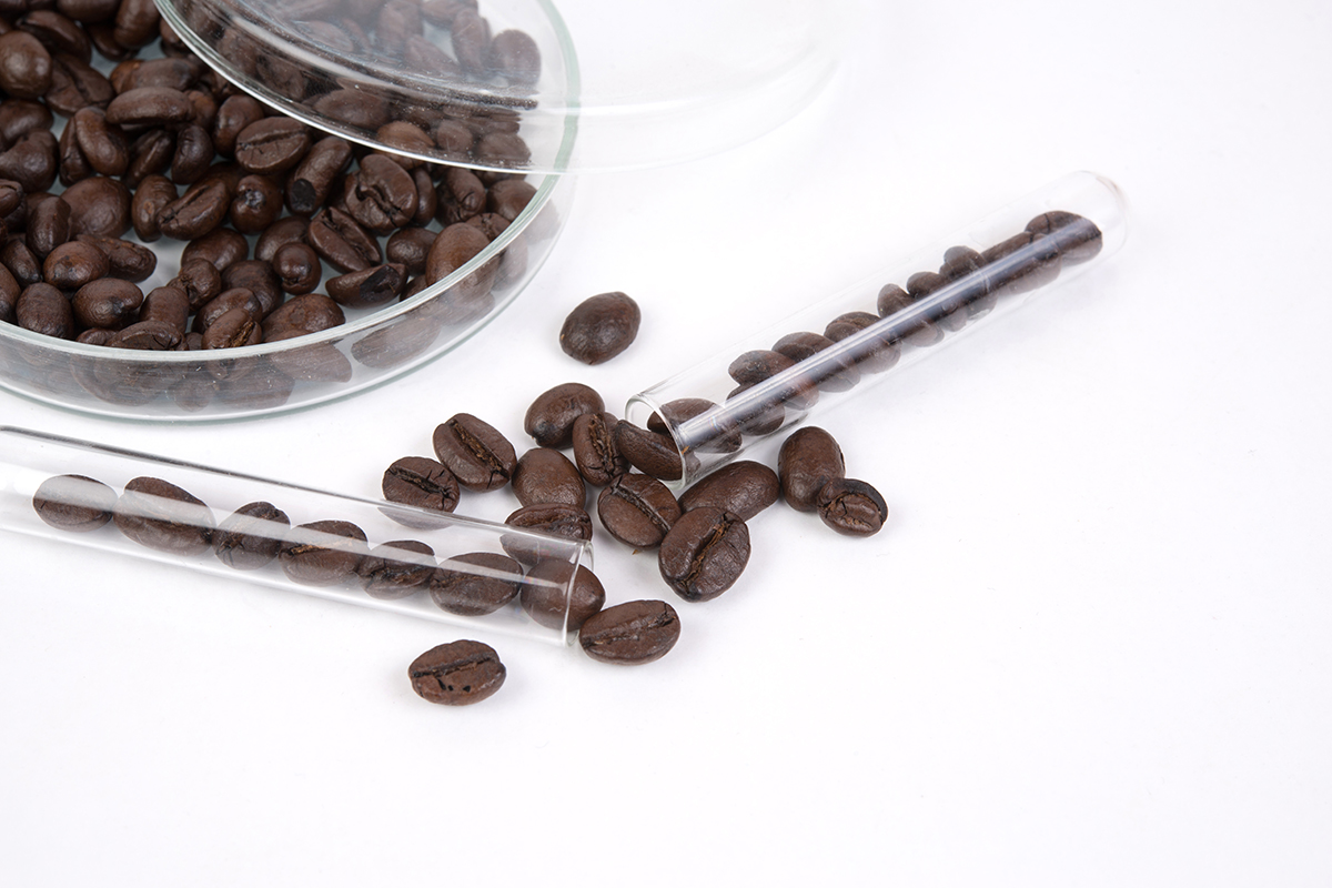 Seven Miles Coffee launches Science and Education Centre BeanScene