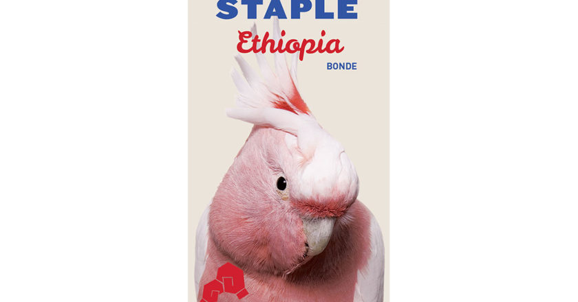 Rumble Team-Up Series