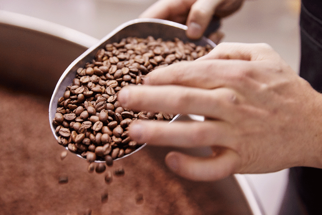 Massimo acquires Bean Alliance Group BeanScene