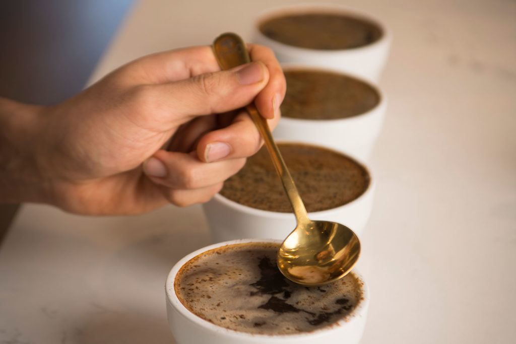 The ones that sparkle the key to the longevity of specialty coffee