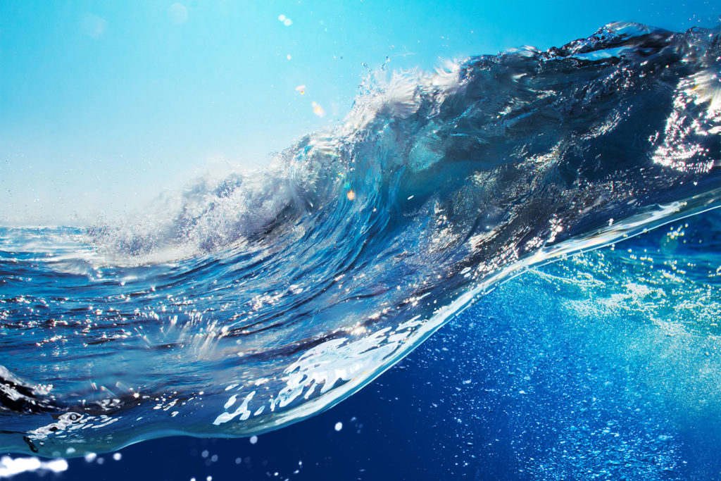 Coffee Science Lab explores the science of water in coffee BeanScene