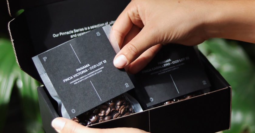 veneziano pinnacle series 02