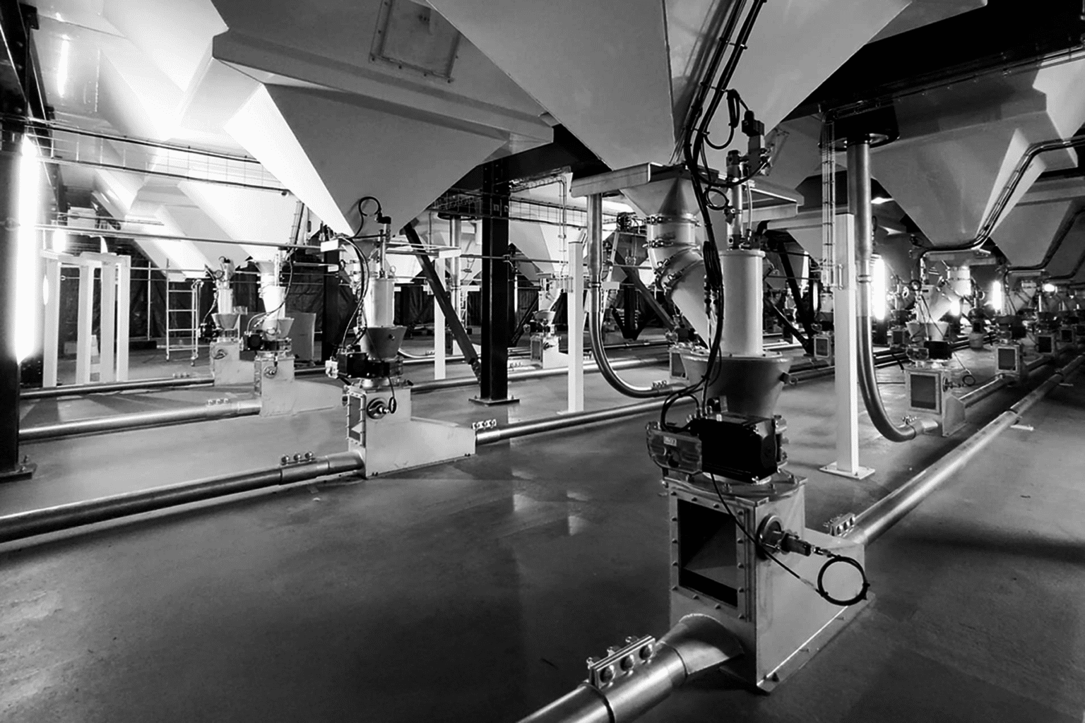 Ima Coffee Petroncini on tailoring green coffee processing plant