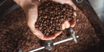 Image: Evgenia Terekhova/stock.adobe.com