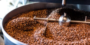 Image: Magryt/stock.adobe.com