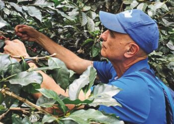 Giuseppe Cianchi has roasted for Grinders Coffee for 25 years.