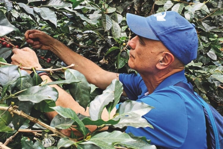 Giuseppe Cianchi has roasted for Grinders Coffee for 25 years.
