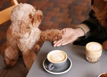 Image: New Africa/stock.adobe.com