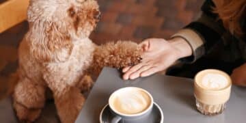 Image: New Africa/stock.adobe.com