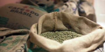 coffee prices, green beans