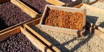 Image:  kamonrat/stock.adobe.com