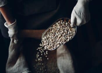 Coffee prices Australia