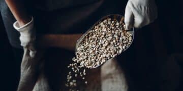 Coffee prices Australia