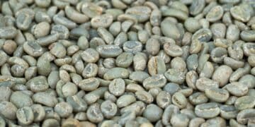 Image: gumpapa/stock.adobe.com