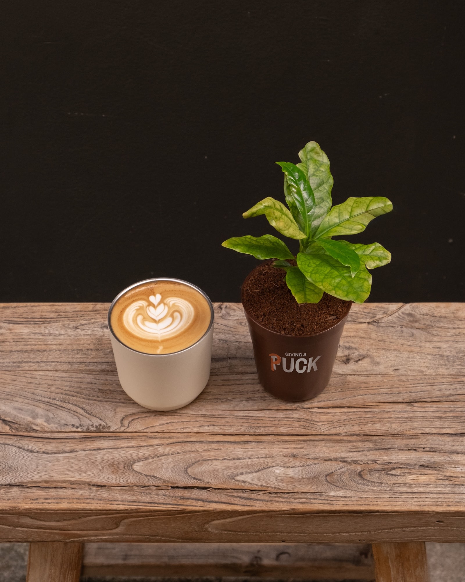 The Sydney Giving a Puck campaign will launch with a 'Free Coffee Day' and Single O Surry Hills.