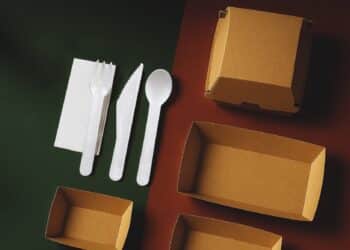 PakChain offers a range of packaging solutions, from paper cutlery to compostable cups.
Image: PakChain.