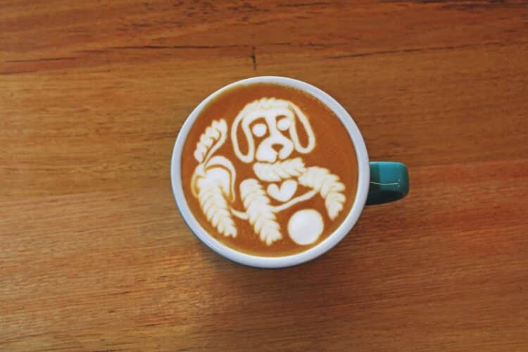 Images: Prime Creative Media