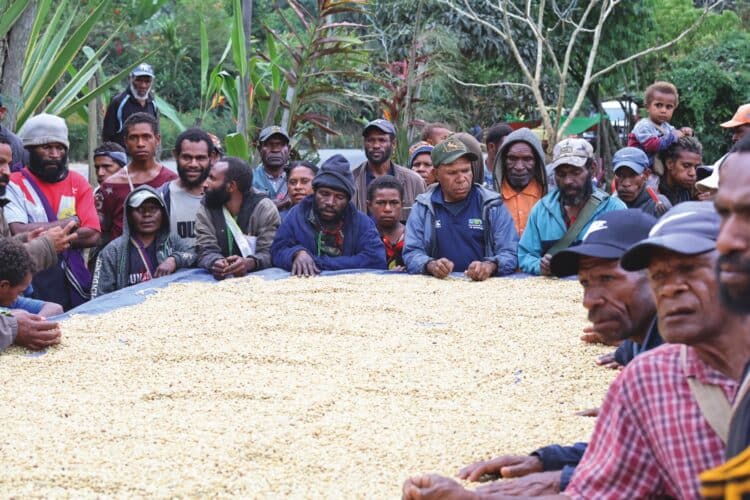 InterAmerican Coffee believes PNG coffee has the quality profile to thrive in the Australian market.