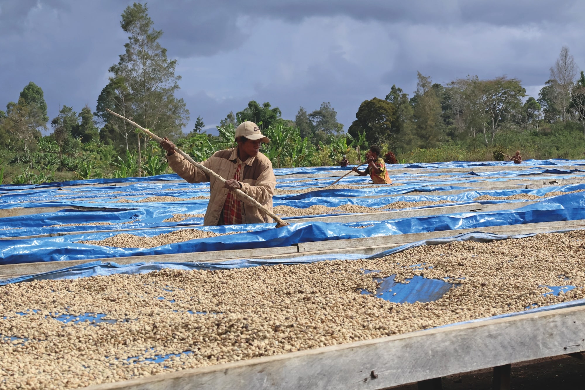 Coffee from PNG is often perceived as being low quality – something InterAmerican Coffee wants to challenge.