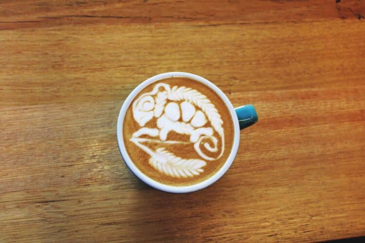Learn how to make the chameleon latte art with Victor Vu.