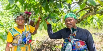 Women coffee farmers